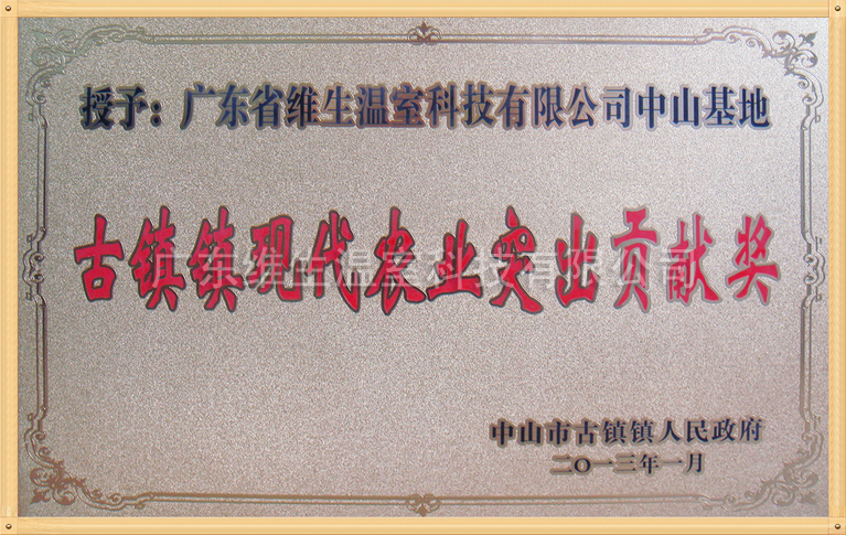 現(xiàn)代農(nóng)業(yè)突出貢獻獎